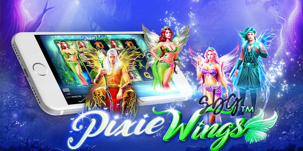 Info Pixie Wings